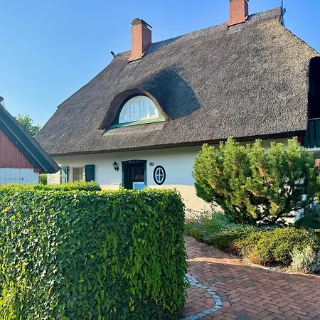 Daire Chausseestrasse App 02