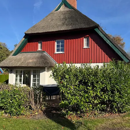 Chausseestrasse App 02 * Born